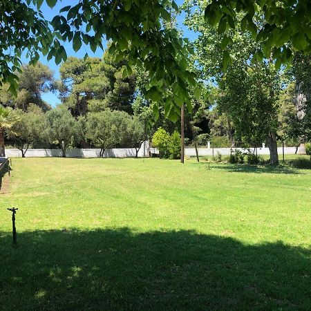 Villa Anastasia! In Strofylia Pine Forest!!! Μανωλάδα Εξωτερικό φωτογραφία