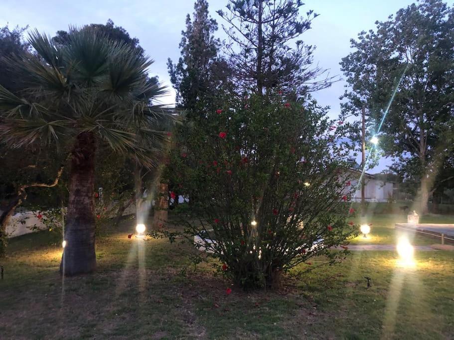 Villa Anastasia! In Strofylia Pine Forest!!! Μανωλάδα Εξωτερικό φωτογραφία