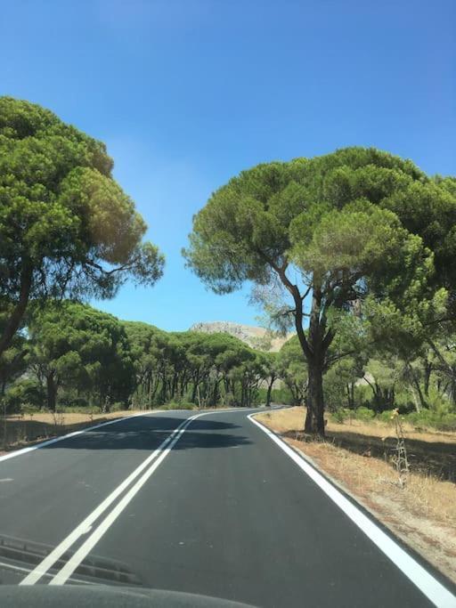 Villa Anastasia! In Strofylia Pine Forest!!! Μανωλάδα Εξωτερικό φωτογραφία