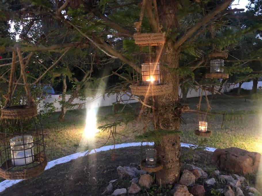 Villa Anastasia! In Strofylia Pine Forest!!! Μανωλάδα Εξωτερικό φωτογραφία