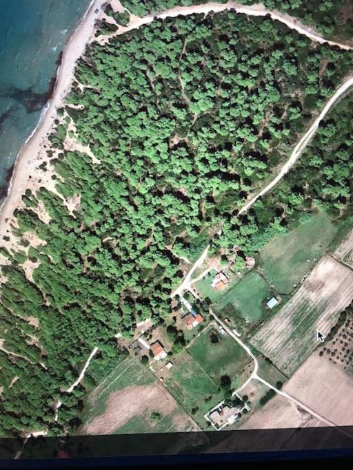 Villa Anastasia! In Strofylia Pine Forest!!! Μανωλάδα Εξωτερικό φωτογραφία
