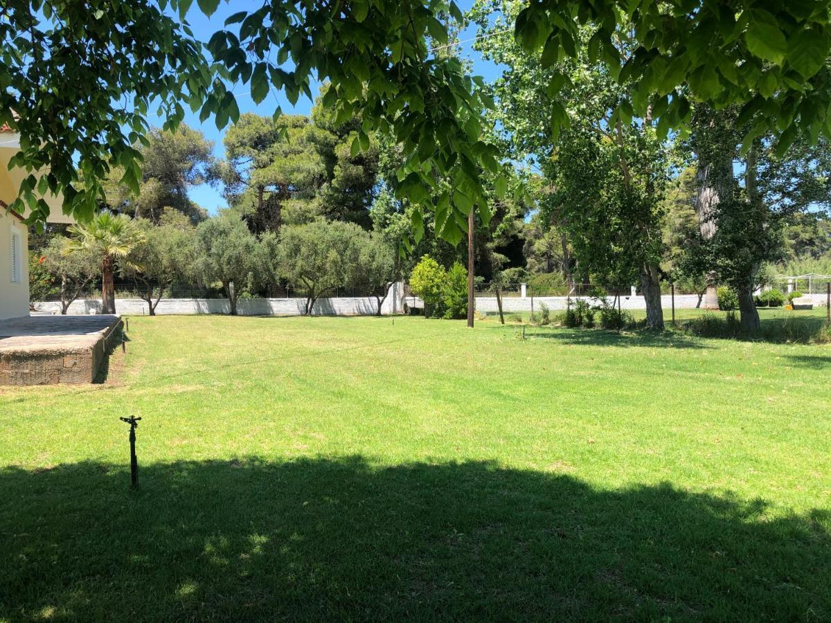 Villa Anastasia! In Strofylia Pine Forest!!! Μανωλάδα Εξωτερικό φωτογραφία