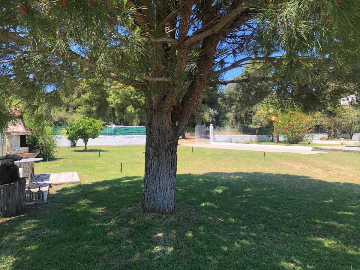 Villa Anastasia! In Strofylia Pine Forest!!! Μανωλάδα Εξωτερικό φωτογραφία