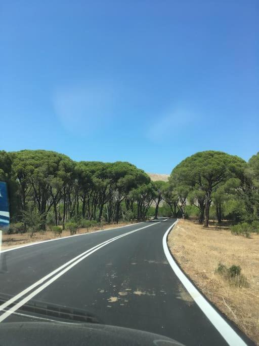 Villa Anastasia! In Strofylia Pine Forest!!! Μανωλάδα Εξωτερικό φωτογραφία