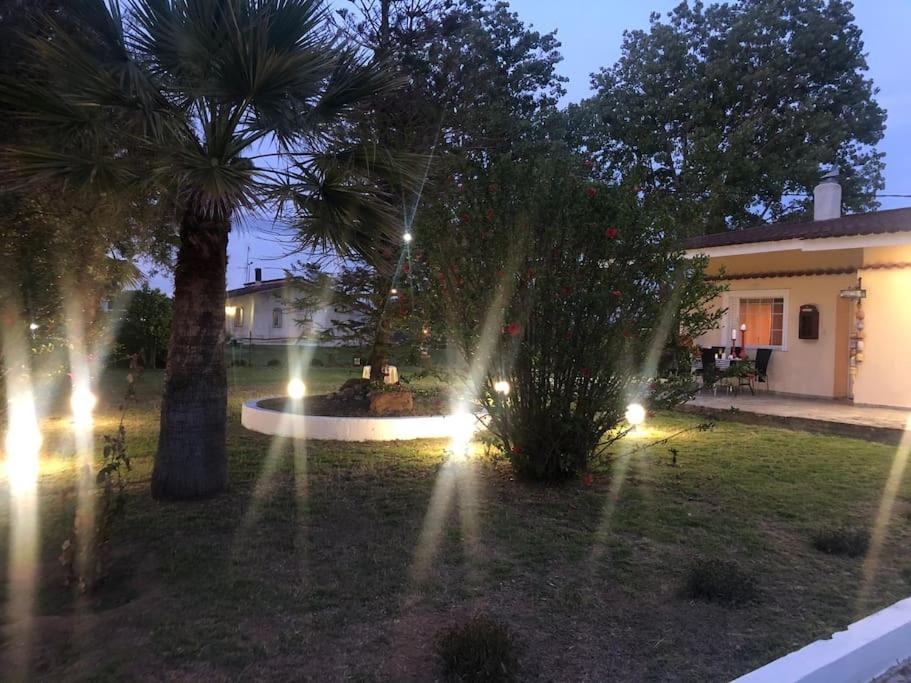 Villa Anastasia! In Strofylia Pine Forest!!! Μανωλάδα Εξωτερικό φωτογραφία