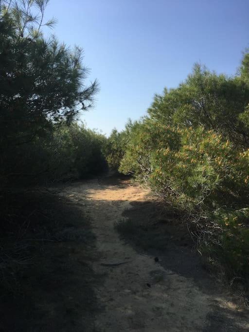 Villa Anastasia! In Strofylia Pine Forest!!! Μανωλάδα Εξωτερικό φωτογραφία